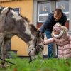 Vánoční cesta k harmonii 2024, 30. 11. 2024