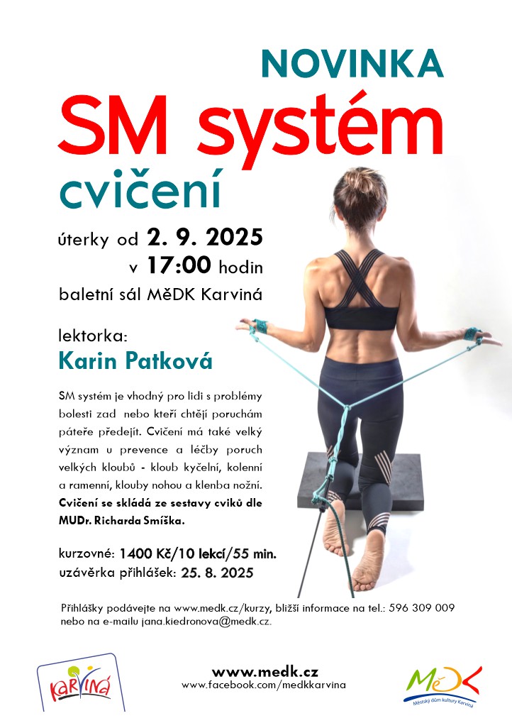 SM systém