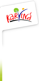 Primary Raster logo
